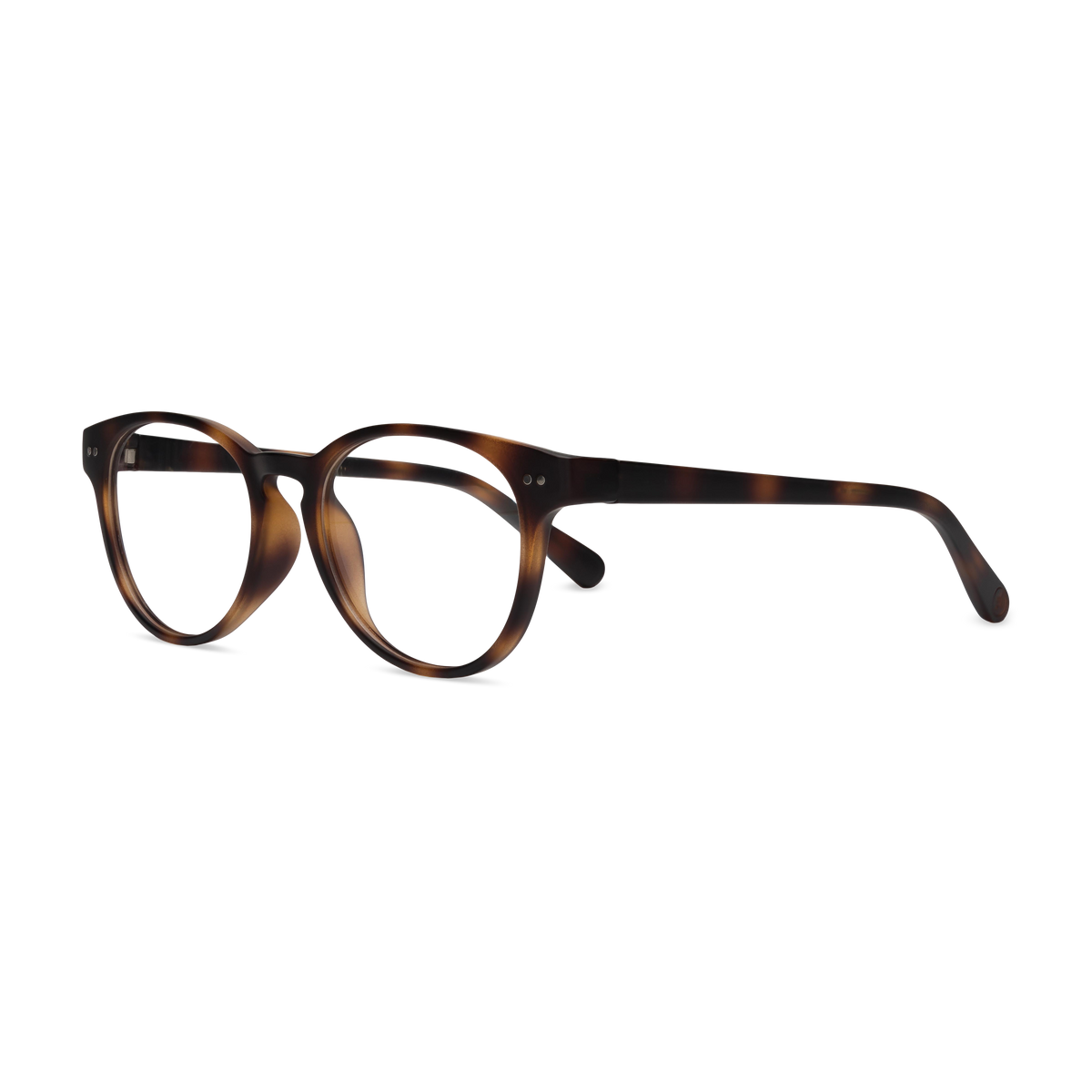 Abbey Readers, Tortoise